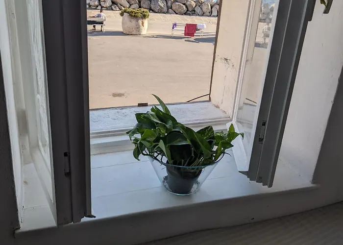 Beachfront Diagon Alley Apartment